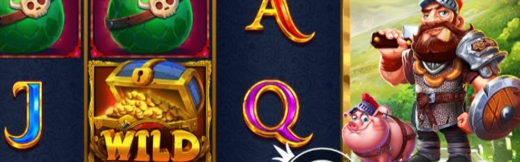 sport betting login