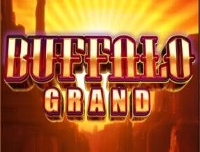 bet365 casino online